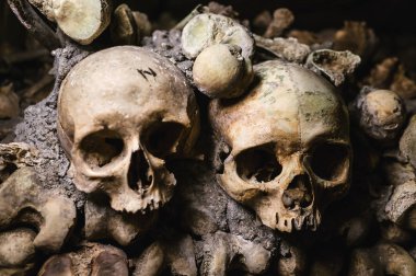 İnsan kafatasları bir kalp Paris Catacomb içinde oluştururlar.