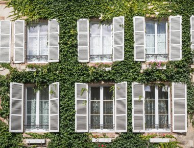 Windows surrounded by vines, Hautvillers, Marne, Champagne Ardenne clipart