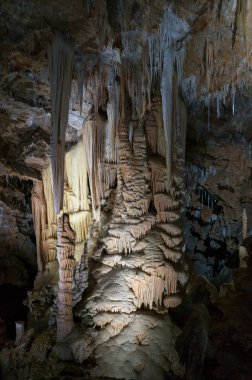 Güzel sarkıtlar, Aziz Guilhem Çölü 'ndeki Fare Mağarası, Herault, Fransa