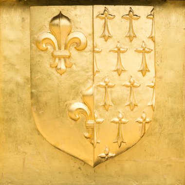 Altın Blazon Lille, silah kat, noktalar, lily ve Ermin çiçekler ile Fransa 