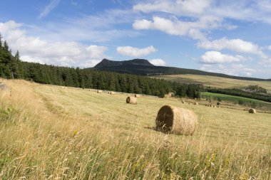 Mont Mezenc hays alanları, Massif Central, Auvergne, Fransa ön ile. Eski bir yanardağ olduğunu