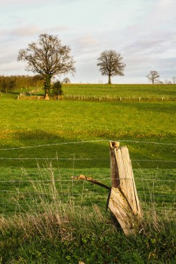 Le Bec-Hellouin, Normandy, Fransa için güzel manzara