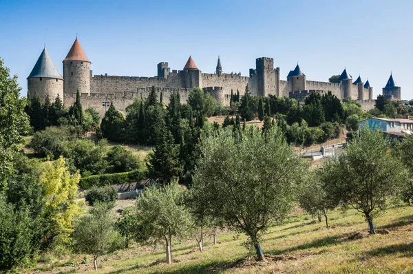 the ancient city of Carcassonne oa olive tree field with on the background, south of France