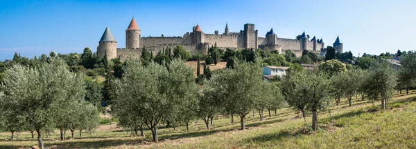 Antiga Cidade Carcassonne Campo Oliveira Com Fundo Sul França — Fotografia de Stock