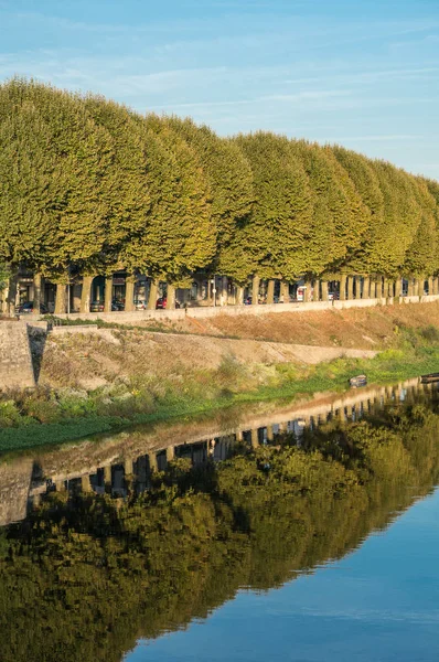 Fila Árboles Otoño Atardecer Junto Río Vienne Chinon Francia — Foto de Stock