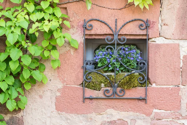 Gyönyörű Ablak Collonges Rouge Gyönyörű Piros Falu Franciaország Collonges Rouge — Stock Fotó