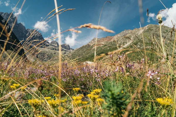 Berge Nationalpark Der Ökrinen Alpen Frankreich — Stockfoto