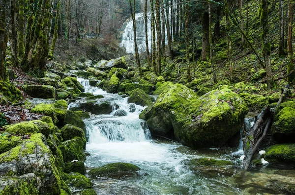 Potok Lese Kameny Které Lišejníky Poblíž Hedgedog Vodopád Cascade Herisson — Stock fotografie