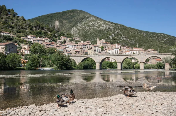 Πανοραμική Θέα Προς Χωριό Των Roquebrun Στην Περιοχή Languedoc Γαλλία — Φωτογραφία Αρχείου