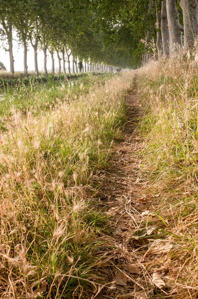 Πανοραμική Θέα Της Αρχαίας Λίμνης Του Montady Νότια Γαλλία — Φωτογραφία Αρχείου