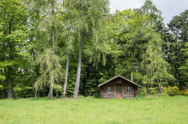 Mały Domek Lesie — Zdjęcie stockowe