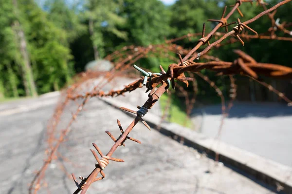 Rusty Wire Netting Ouvrage Schoenenbourg Line Maginot Elsace France — стоковое фото