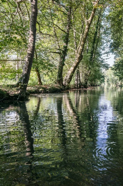 Csatorna Marais Poitevin Deux Sevres Poitou Charentes Franciaország — Stock Fotó