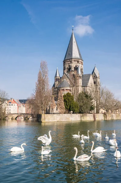 Temple Neuf Ahol Hattyúk Metz Lorraine Franciaország Templom Neoromán Stílusú — Stock Fotó