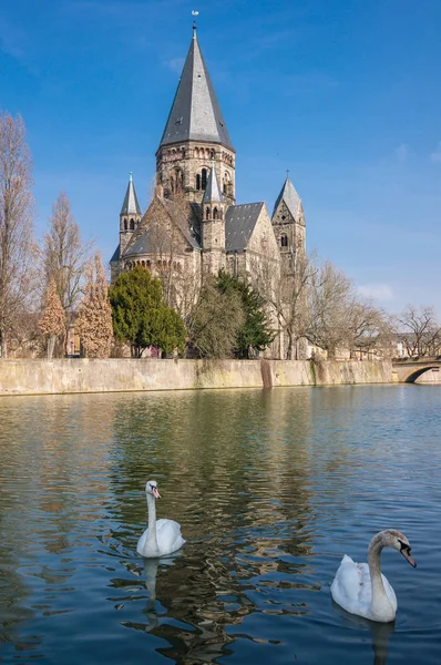 Templo Neuf Con Cisnes Metz Lorena Francia Esta Iglesia Edificio — Foto de Stock