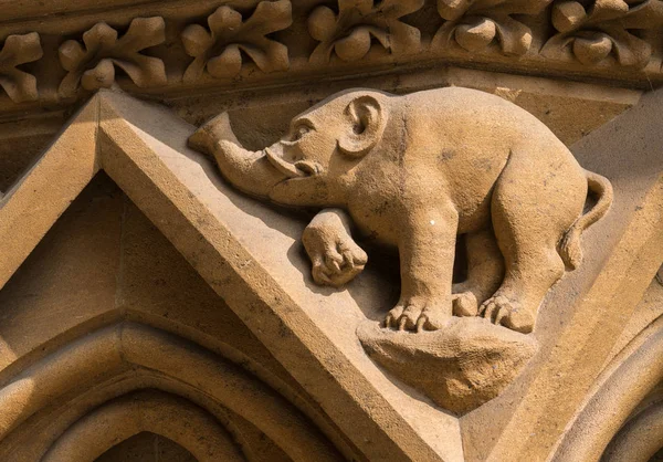 Detalle Las Tallas Catedral Gótica San Etienne Metz Mosela Lorena — Foto de Stock