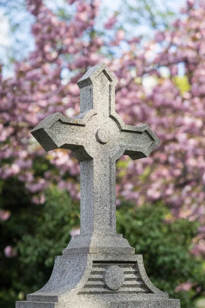 Kříž Pozadím Pink Cherry Květy Hřbitově Montmartre — Stock fotografie
