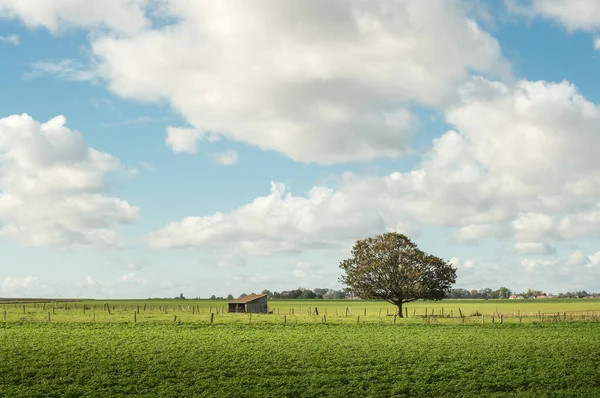 如诗如画的诺曼底牧场与白云和蓝天附近里昂拉石林 厄尔省 — 图库照片