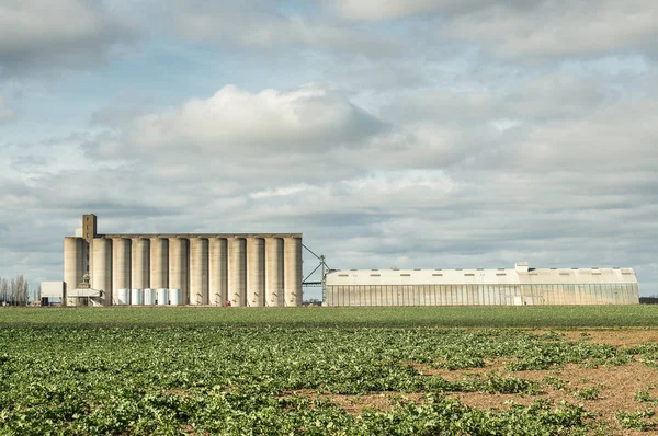 Graneros Para Almacenamiento Trigo Otros Granos Cereales Campo Francés — Foto de Stock