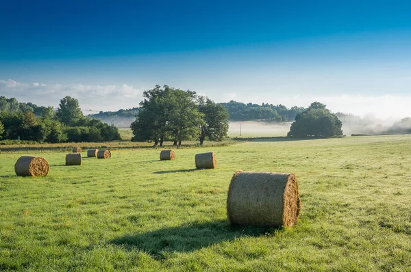 Yellow Rolls Straw Fields Dawn — Stock Photo, Image