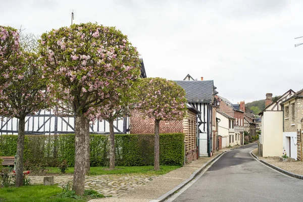 Улица Вишневыми Цветами Bec Hellouin Нормандия Франция — стоковое фото