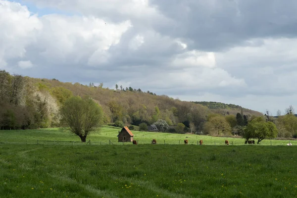 Πανέμορφο Τοπίο Στο Bec Hellouin Νορμανδία Γαλλία — Φωτογραφία Αρχείου