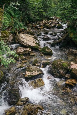 Fransızca Pyrenees dağ, Fransa Ossau vadisinde dere