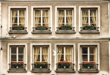 Nostaljik cephe bir otel Paris Fransa