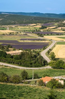 Yüksek Provence peyzaj alanlarında lavanta, simiane la rotonde, provence, Fransa ile görüş açısı 