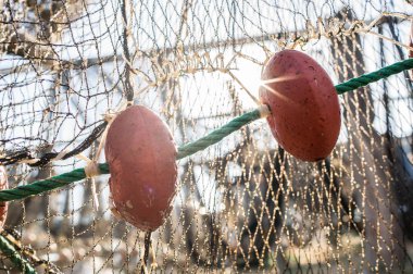 NET kurutma güneş, La pointe courte, sete, Hérault, Fransa Balık tutma