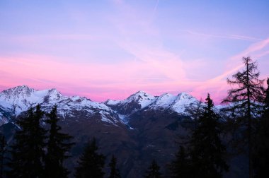 Alps, Savoie, Fransa için ön plan üzerinde pines ile şafak dağlar