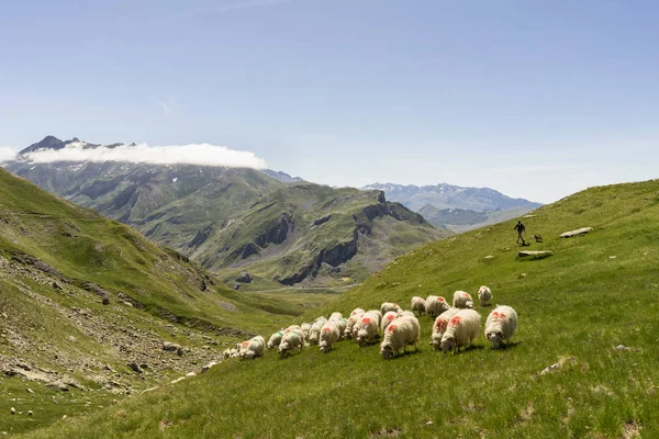 Pic Midi Ossau 2884 Napkeltekor Francia Pireneusokban Ossau Völgy Fölött — Stock Fotó