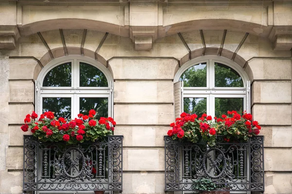 Typiska Parisiska Fönster Med Geranium Blommor Paris Frankrike — Stockfoto