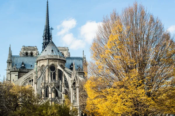 Panorama Dari Notre Dame Katedral Pagi Hari — Stok Foto