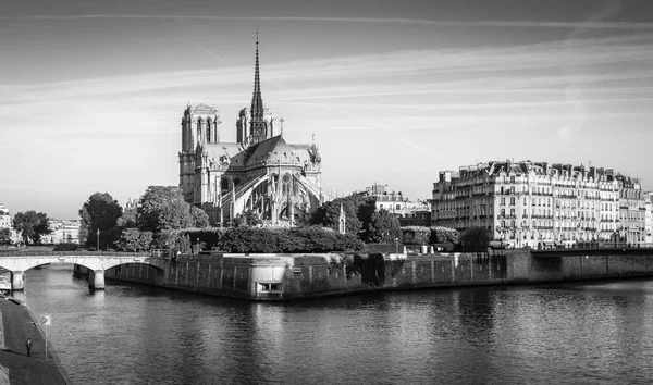 Panorama Van Notre Dame Kathedraal Ochtend — Stockfoto