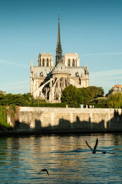 Panorama Katedrály Notre Dame Noci — Stock fotografie