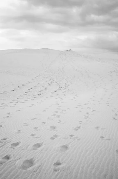 ピラ砂丘 シュル メール フランス ヨーロッパで最も高い砂丘の足跡 黒と白 — ストック写真