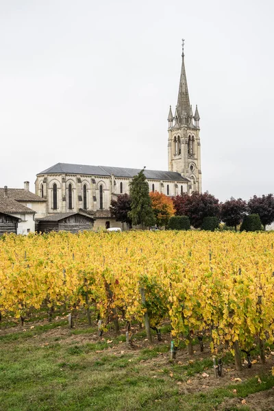 Egyház Szőlő Pomerol Franciaország — Stock Fotó