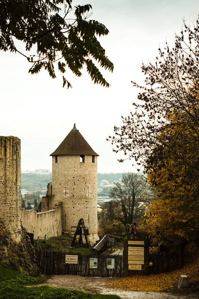 Vignoble Devant Ruine Église Provins France — Photo