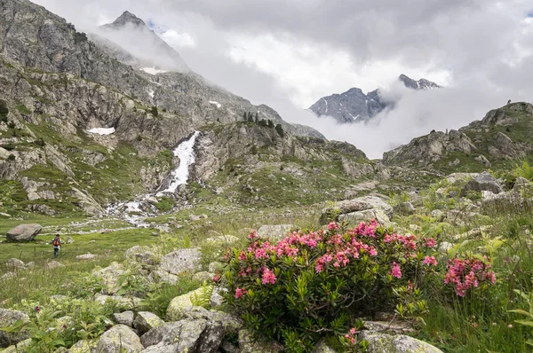 Cascada Cerisey Cauterets Altos Pirineos Francia — Foto de Stock