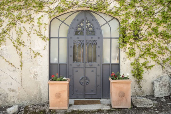 Beautiful Metal Door Vines Wall — Stock Photo, Image