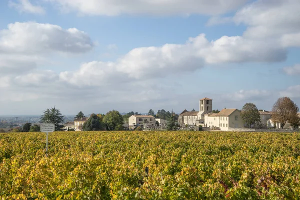 Saint-Emilion, Fransa-25 Ekim 2015: Chateau Canon üzüm. Chateau Canon, IS başbakanlarına grands crus sınıfları B arasında sıralanır Saint-Emilion unvan bir Bordeaux şarabı