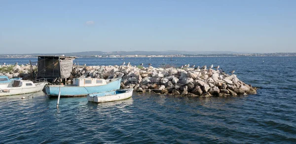 Barcos Pesca Etang Thau Herault Francia — Fotografia de Stock