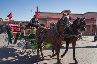 Marakeş, Fas - 2 Ocak 2017: adam bir arabayla sürüş