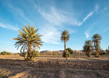 Çöl Merzouga, Fas görünümünü