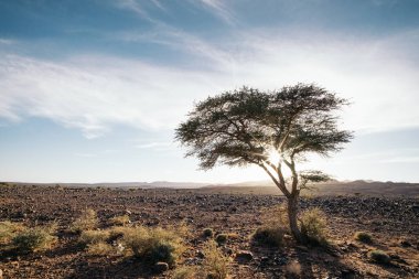 Çöl Merzouga, Fas görünümünü