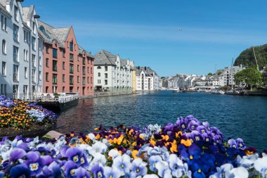 Alesund, Norveç'in ortasındaki renkli binalar
