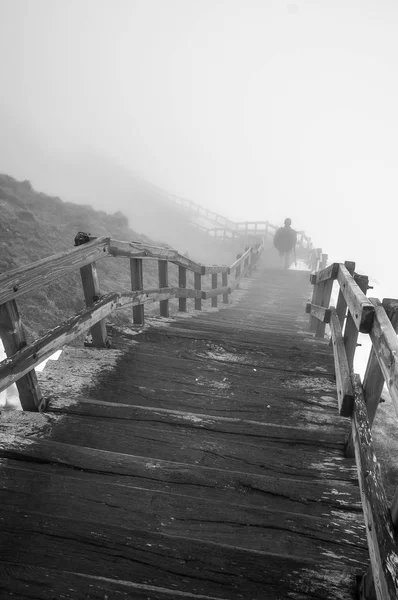 Деревянная Лестница Туманной Горе Пюи Санси Овернь Франция — стоковое фото
