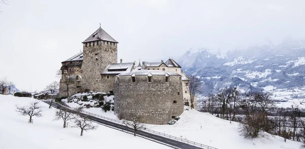 Buildings View Liechtenstein — Stock Photo, Image