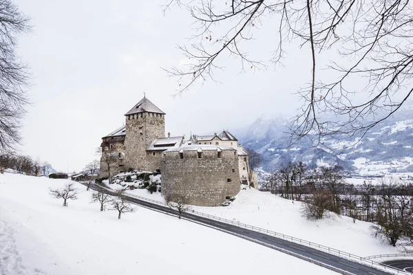 Buildings View Liechtenstein — Stock Photo, Image